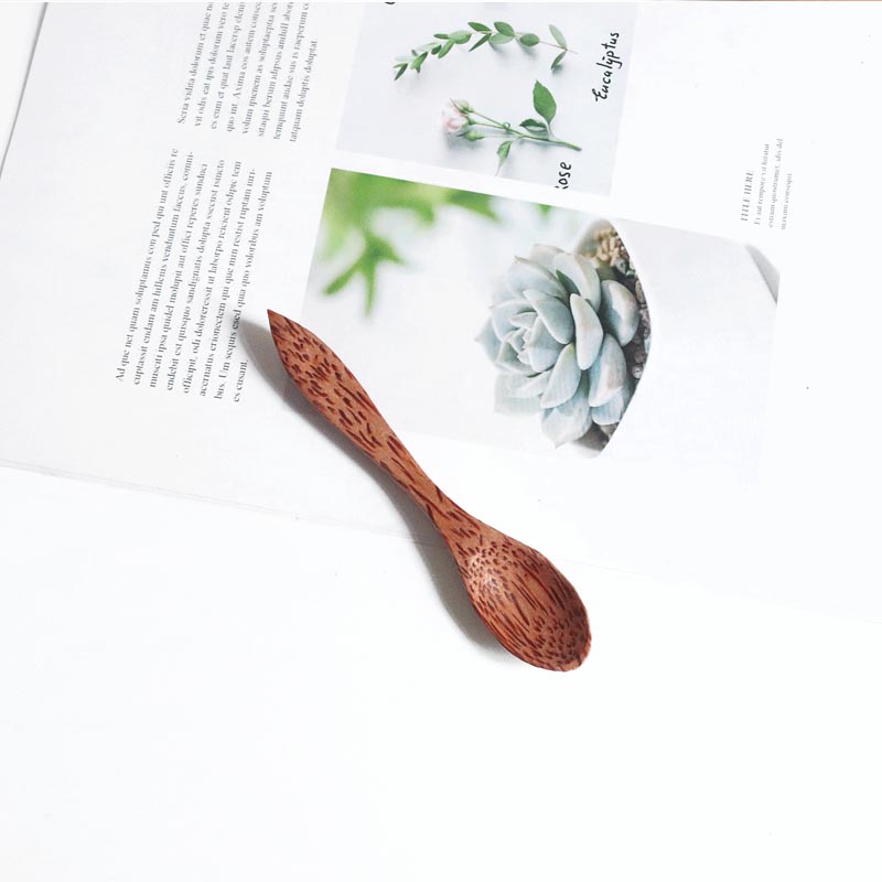 1pcs Natural Coconut Bowl Spoo - Dim Sum Basket 评论和价格